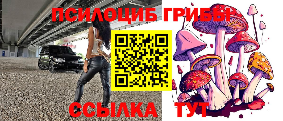 Псилоцибиновые грибы Psilocybe Чапаевск